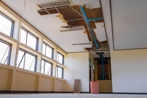 Best Water damage mitigation services  in Palacios, TX