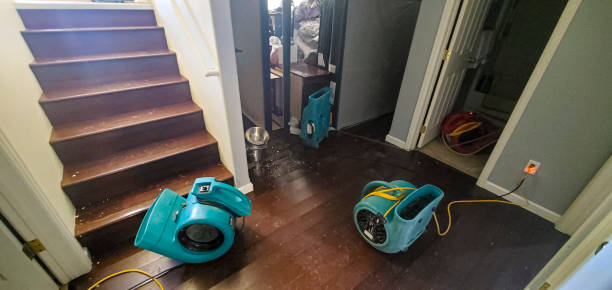 Best Emergency water damage restoration  in Palacios, TX