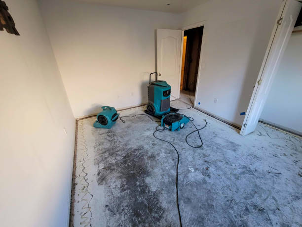 Best Flood damage cleanup  in Palacios, TX