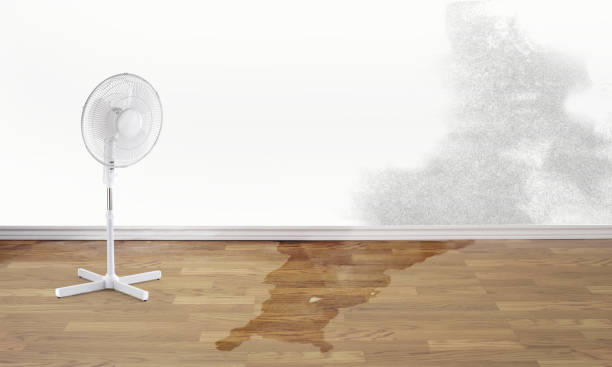 Best Residential water damage restoration  in Palacios, TX