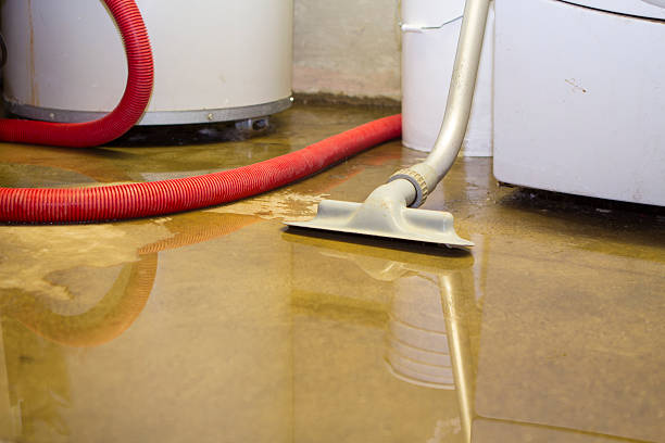 Best Professional water damage repair  in Palacios, TX