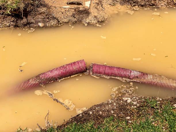 Best Water damage restoration insurance claims  in Palacios, TX