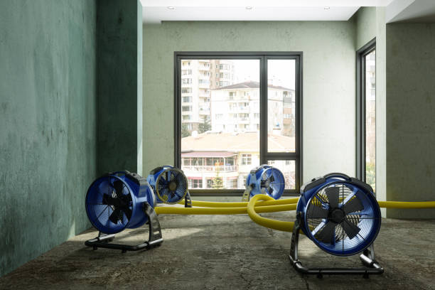 Best 24-hour water damage restoration  in Palacios, TX