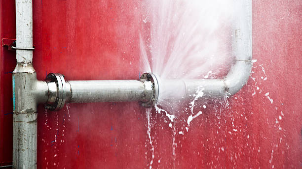 Best Water damage restoration near me  in Palacios, TX