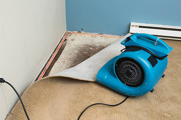 Best Flood restoration services  in Palacios, TX